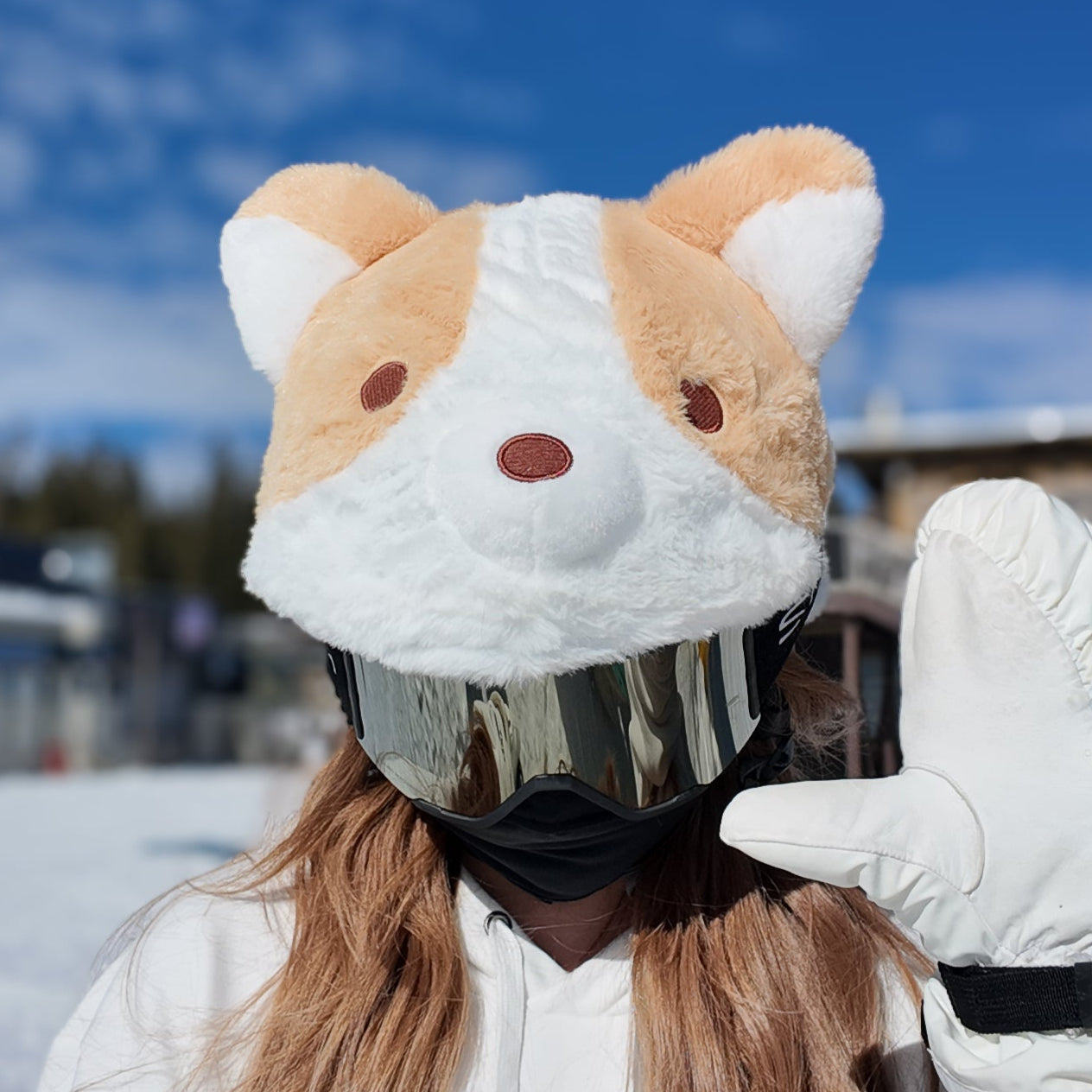 Ski Helmet Cover