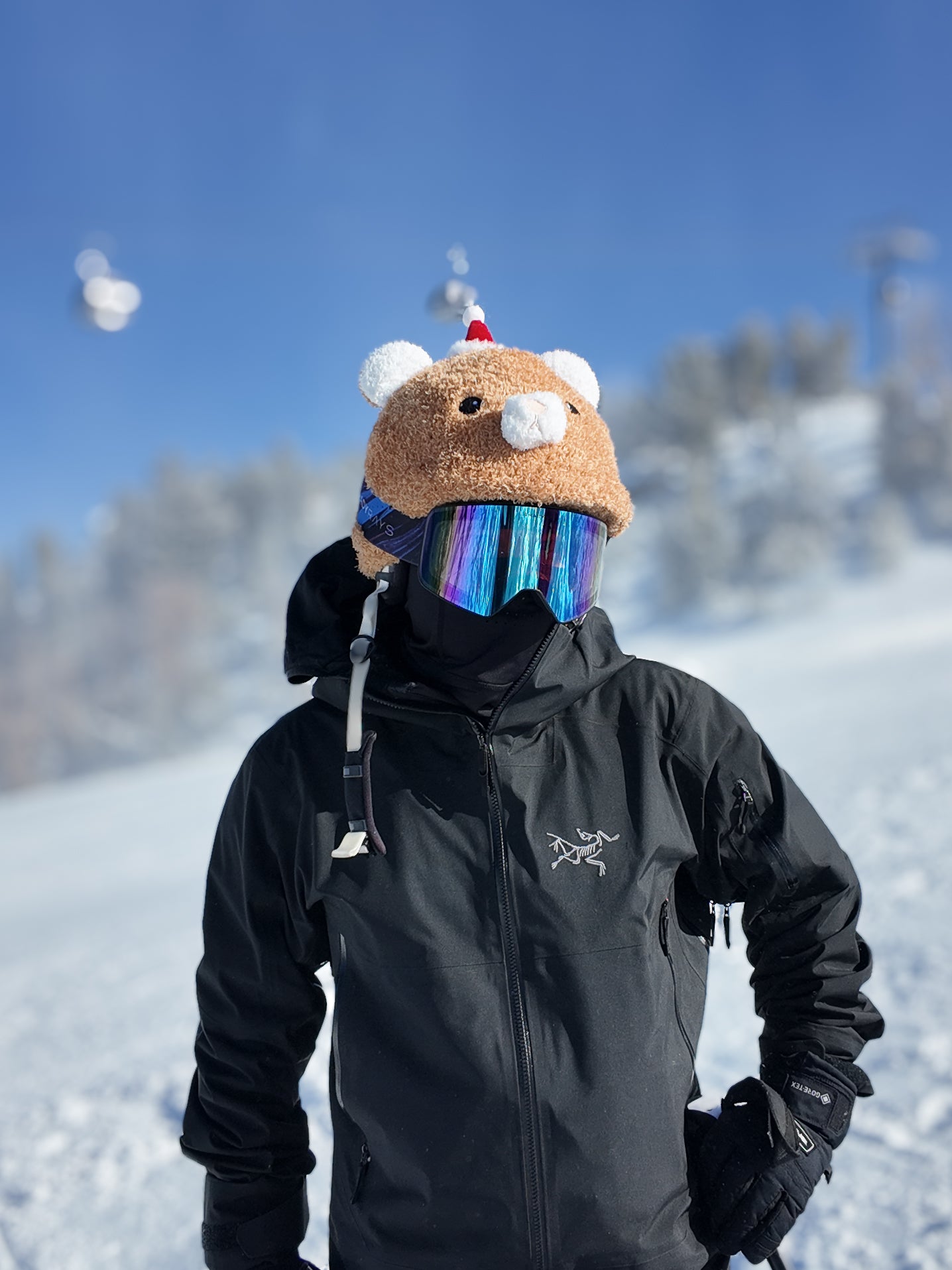 popsnow_ski_hemet_cover_hood_hat_funny_animal_cute_kid_Christmas_bear_mammoth_1