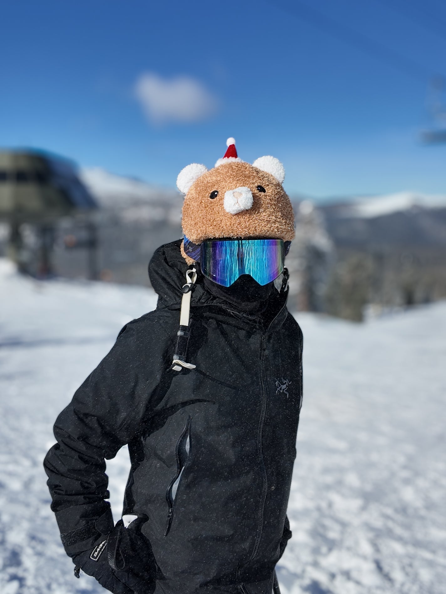 cute snowboard helmet Ski Helmet Cover