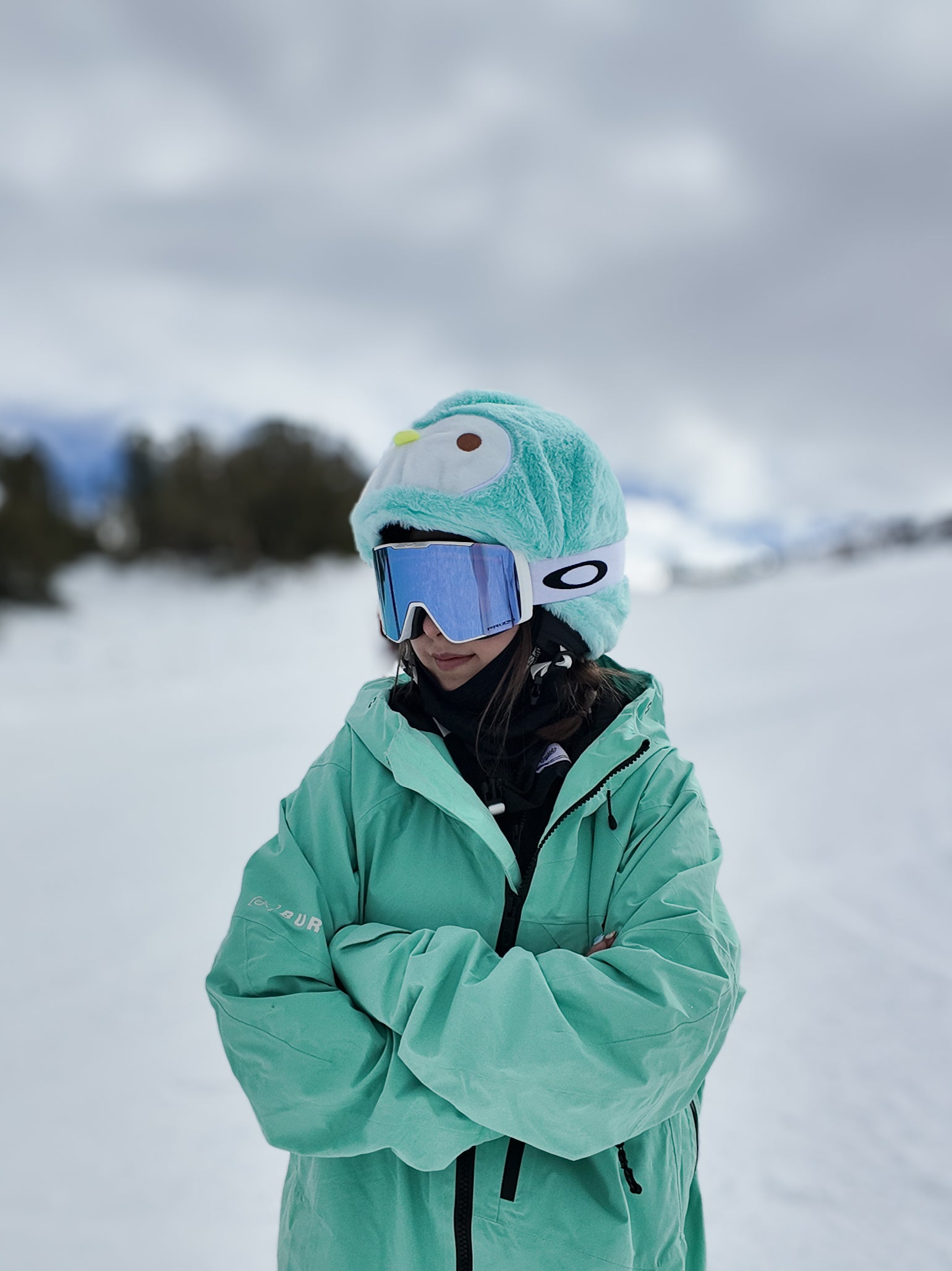 cute snowboard helmet Ski Helmet Cover