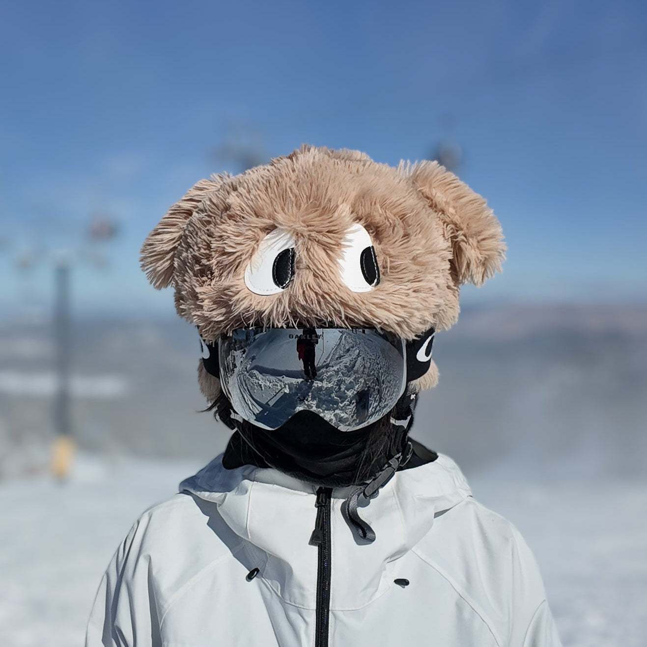 Ski Helmet Cover - Puppy Tuusca Short Ear – PopSnow