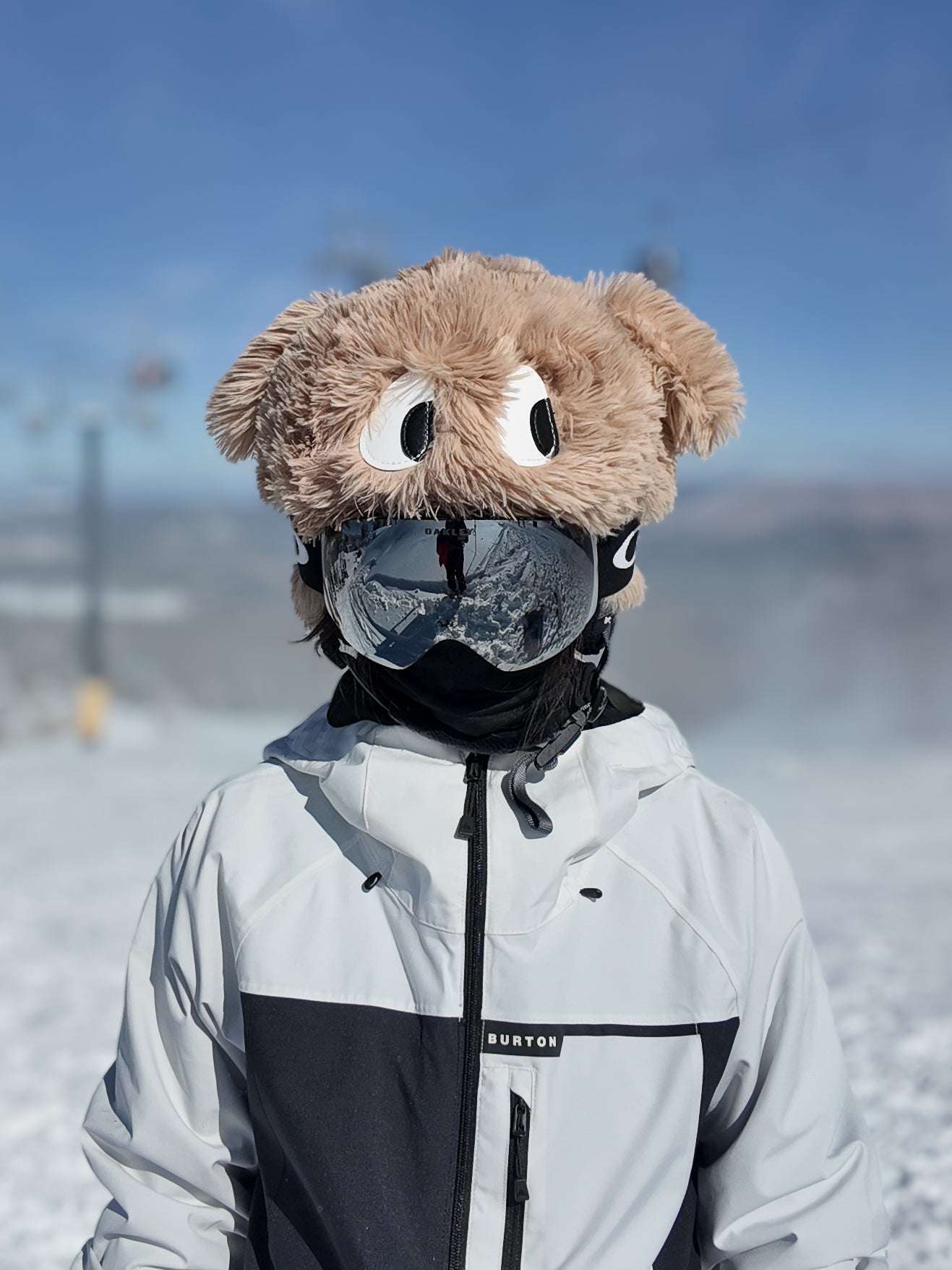 Ski Helmet Cover - Puppy