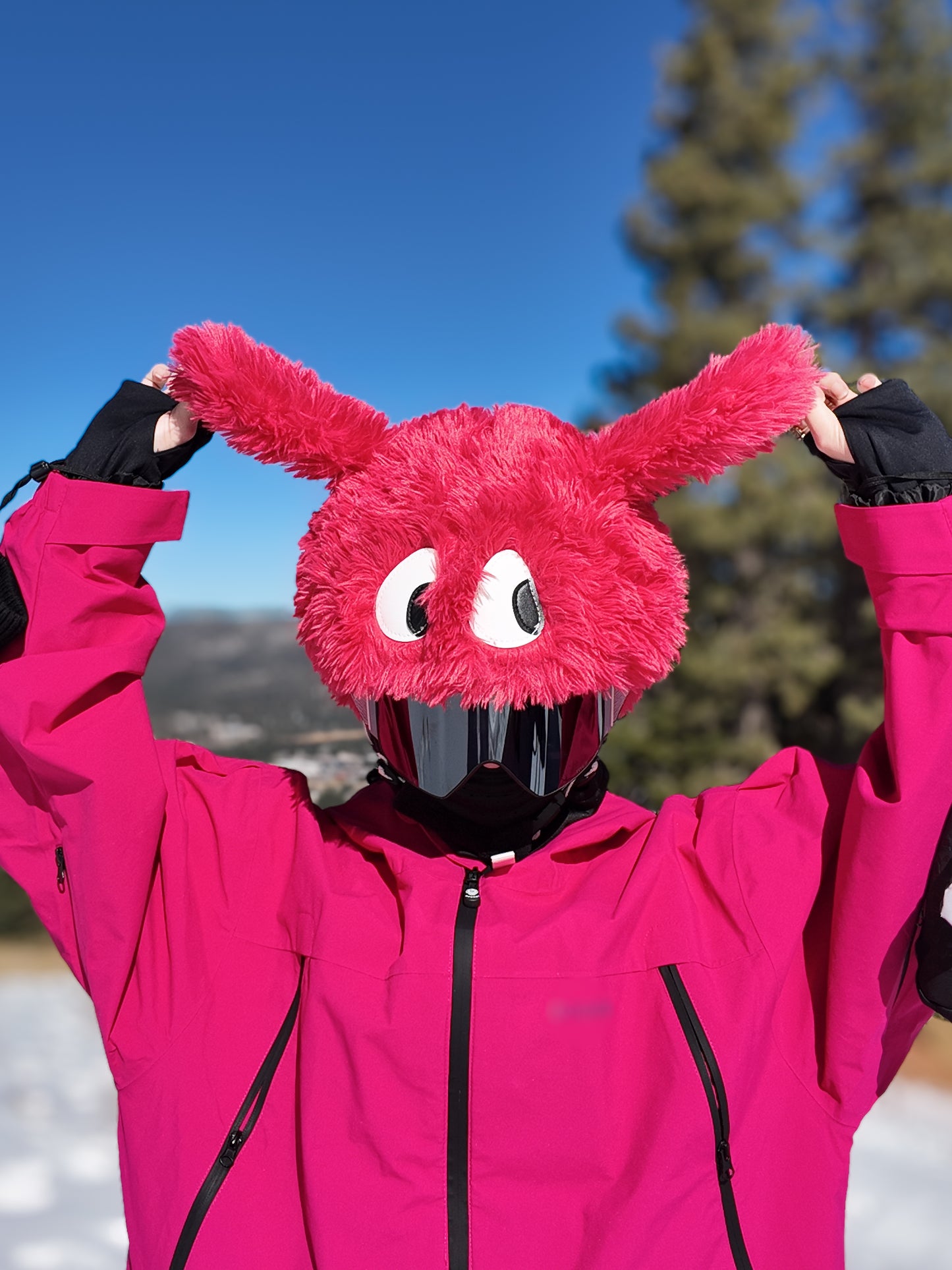 Ski Helmet Cover - Puppy